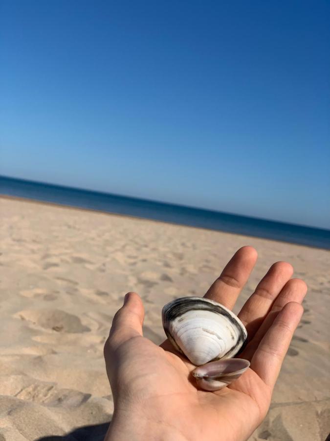 Apartamento Bella Playa 甘迪亚 外观 照片
